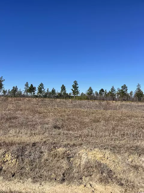 2750 Scarbrough Dr, Loris, SC 29569