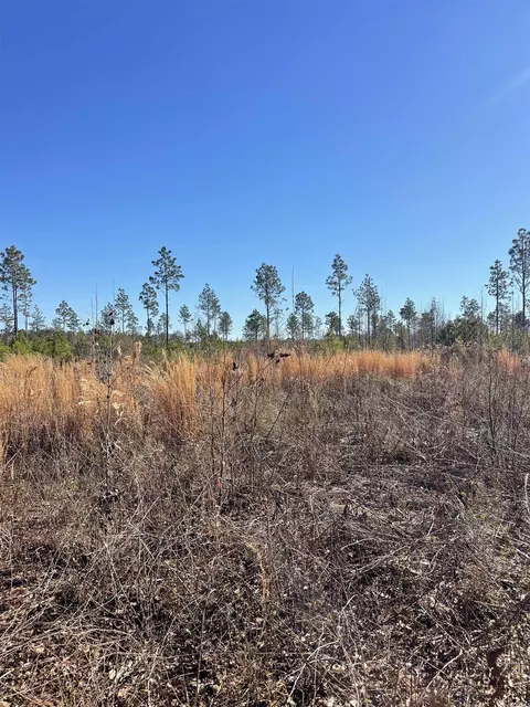 595 Mincey Dr, Loris, SC 29569