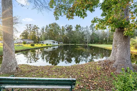 234 W Highway 378, Gresham, SC 29546 photo 23