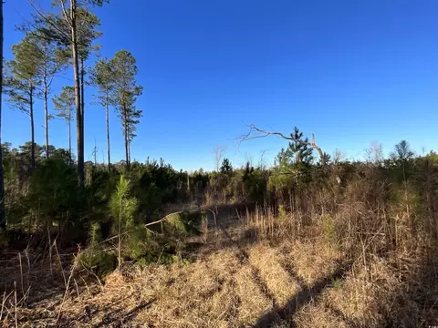 tbd Laughlin Rd, Marion, SC 29571 photo 8