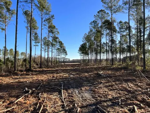 tbd Laughlin Rd, Marion, SC 29571