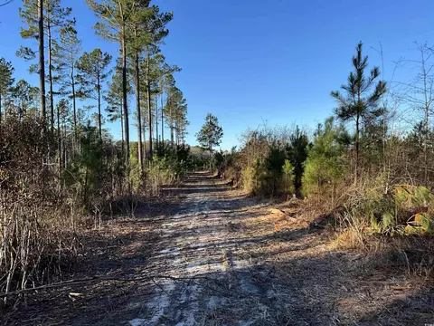 tbd Laughlin Rd, Marion, SC 29571 photo 3