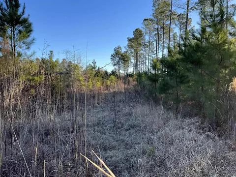 tbd Laughlin Rd, Marion, SC 29571 photo 9