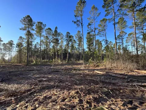 tbd Laughlin Rd, Marion, SC 29571 photo 7
