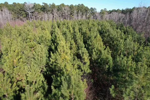 24 E Ac E Black Creek Rd, Florence, SC 29501 photo 5