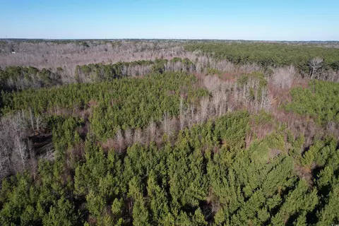 24 E Ac E Black Creek Rd, Florence, SC 29501 photo 3