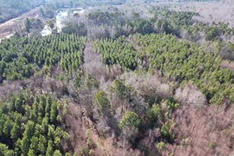 24 E Ac E Black Creek Rd, Florence, SC 29501 photo 6