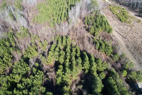 24 E Ac E Black Creek Rd, Florence, SC 29501 photo 4