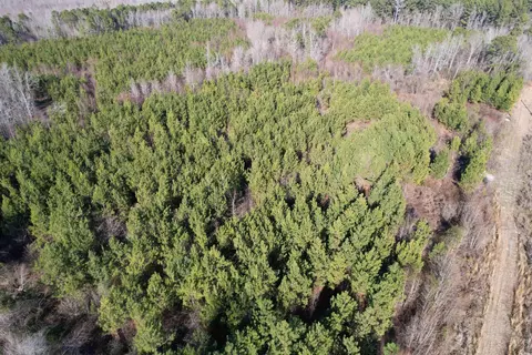 24 E Ac E Black Creek Rd, Florence, SC 29501