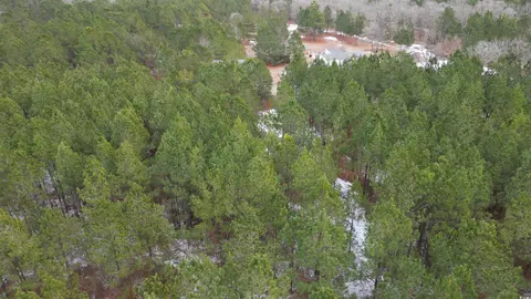 2141 Ashland Rd, Mcbee, SC 29101 photo 7
