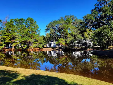 49 Daniel Morrall Ln, Georgetown, SC 29440 photo 2
