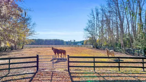 2136 Bear Grass Rd, Longs, SC 29568 photo 36