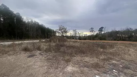 3 23 Acres Highway 348, Loris, SC 29569 photo 2