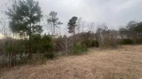 3 23 Acres Highway 348, Loris, SC 29569 photo 5