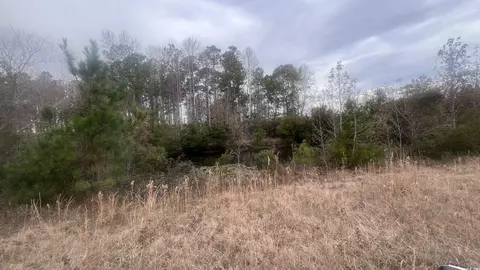 3 23 Acres Highway 348, Loris, SC 29569 photo 6