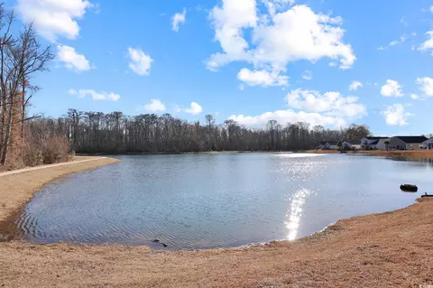 409 Stevia Ct, Conway, SC 29526 photo 34
