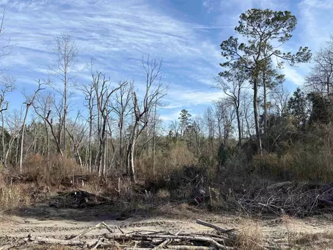 1223 Rainbow Dr, Loris, SC 29569 photo 1