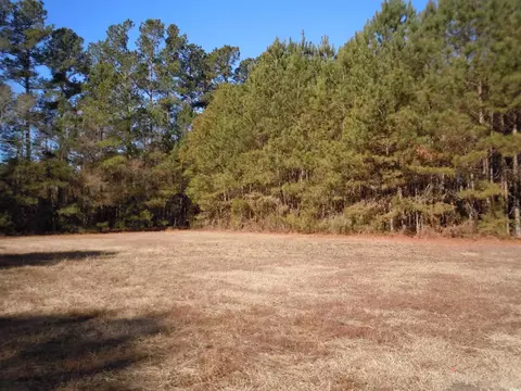 1070 Bee Tree Rd, Chadbourn, NC 28431 photo 33
