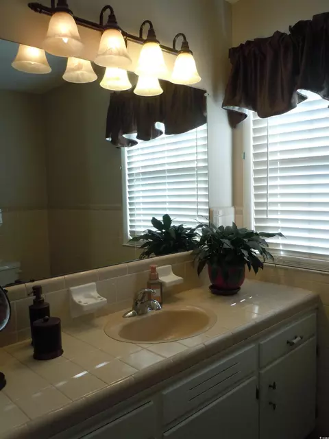 1070 Bee Tree Rd, Chadbourn, NC 28431 photo 20