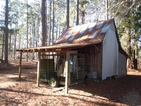 1070 Bee Tree Rd, Chadbourn, NC 28431 photo 29