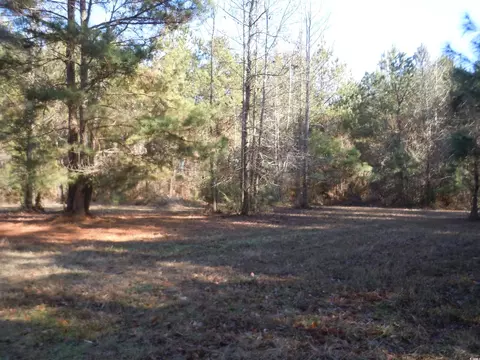 1070 Bee Tree Rd, Chadbourn, NC 28431 photo 26