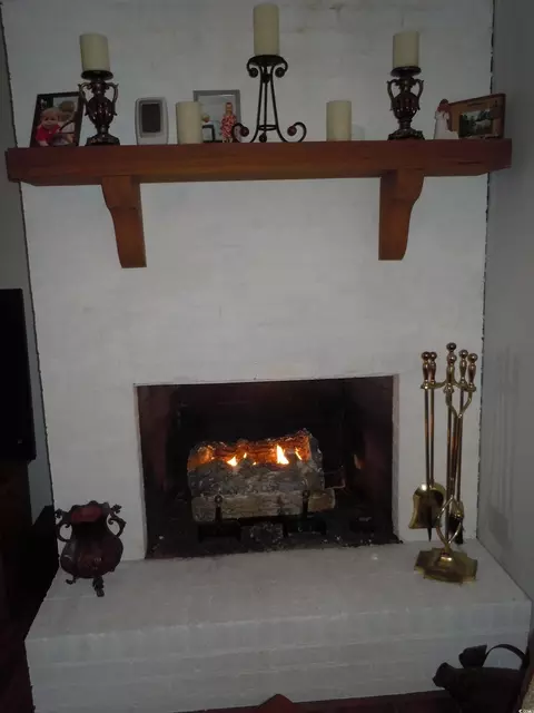 1070 Bee Tree Rd, Chadbourn, NC 28431 photo 4
