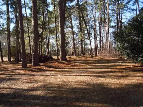 1070 Bee Tree Rd, Chadbourn, NC 28431 photo 28