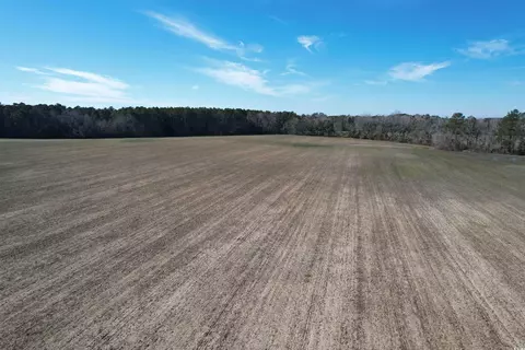 80 86acres-tbd Cedar Swamp Rd, Kingstree, SC 29556