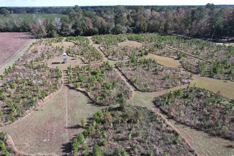 tbd Terry Rd, Andrews, SC 29510