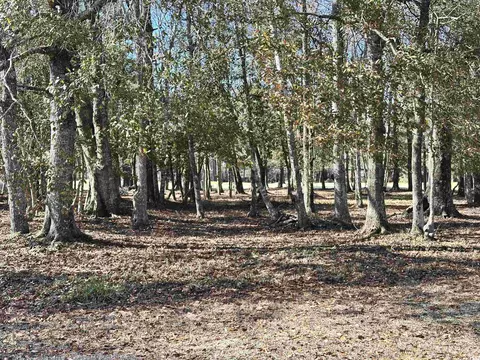 955 Cat Briar Ct, Longs, SC 29568