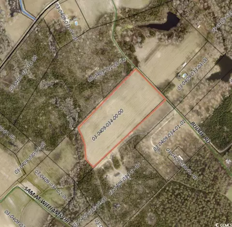 tbd Buddy Rd, Hemingway, SC 29554 photo 2