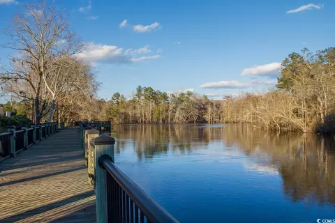 View/Area - 559 Courtridge Loop, Conway, SC 29526 photo 4 of 6