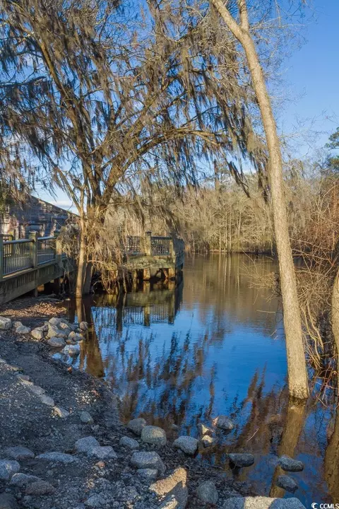 View/Area - 559 Courtridge Loop, Conway, SC 29526 photo 6 of 6