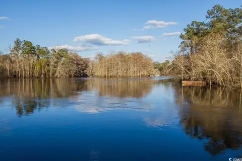 View/Area - 559 Courtridge Loop, Conway, SC 29526 photo 5 of 6