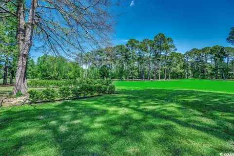 Exterior - 1007 Brood Ct, Conway, SC 29526 photo 9 of 11