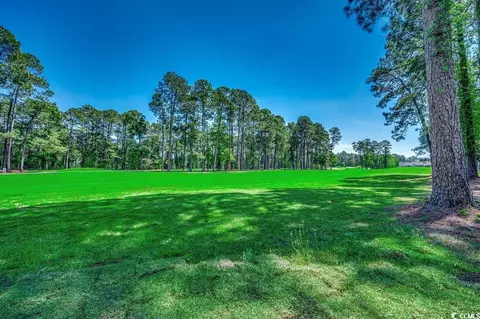 Exterior - 1007 Brood Ct, Conway, SC 29526 photo 10 of 11