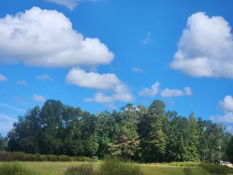 tbd Goff Rd, Aynor, SC 29511
