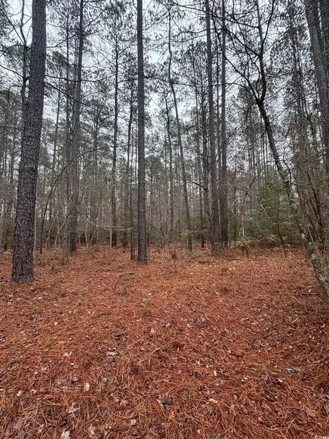 Suttons Rd., Andrews, SC 29510