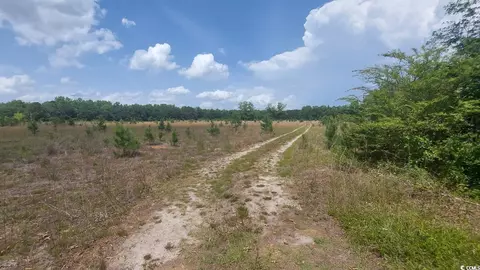 2490 Macedonia Dr, Loris, SC 29569
