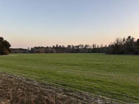 300 Clio Rd, Loris, SC 29569 photo 4