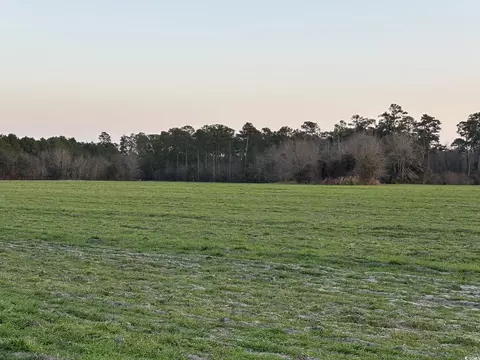 300 Clio Rd, Loris, SC 29569 photo 3