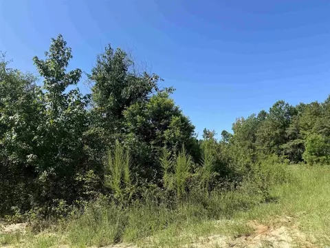 1612 Ashland Rd, Mcbee, SC 29101 photo 2