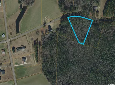 tbd Long Branch Swamp Rd, Nichols, SC 29581