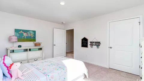Bedroom - 8051 Bear Claw Way, Conway, SC 29526 photo 11 of 11