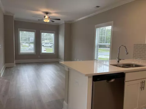 3135 Tiger Tail Rd, Conway, SC 29526 photo 12
