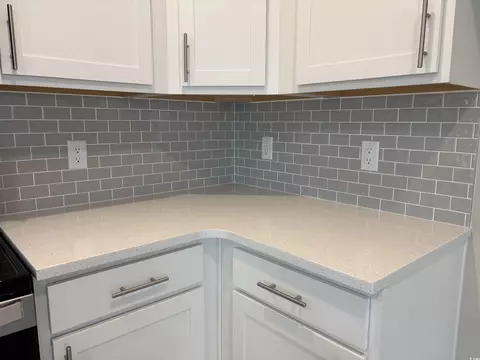 3135 Tiger Tail Rd, Conway, SC 29526 photo 16