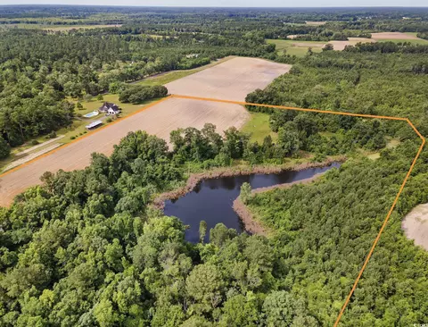 209 Buddy Rd, Hemingway, SC 29554