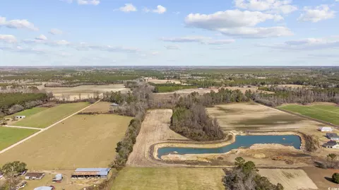 3372 Gurley Rd, Loris, SC 29569 photo 39