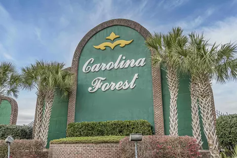 725 Old Castle Loop, Myrtle Beach, SC 29579 photo 38