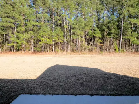 Exterior - 106 Berkman Ct, Conway, SC 29527 photo 3 of 7